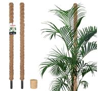 KOTARBAU® 2 pcs Tuteur Plante - Tuteur Coco - ⌀ 3.2 x 120 cm - Fibre de Coco - Tuteurs pour Monstera - Marron - pour Plantes Grimpantes