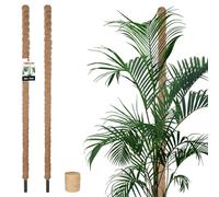 KOTARBAU® 2 pcs Tuteur Plante - Tuteur Coco - ⌀ 3.2 x 180 cm - Fibre de Coco - Tuteurs pour Monstera - Marron - pour Plantes Grimpantes