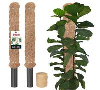 KOTARBAU® 2 pcs Tuteur Plante - Tuteur Coco - ⌀ 3.2 x 40 cm - Fibre de Coco - Tuteurs pour Monstera - Marron - pour Plantes Grimpantes