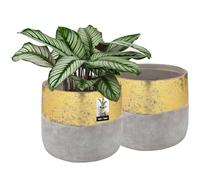 KOTARBAU® 2 x Pot De Fleurs doré ⌀ 11,5 cm|Pot en Céramique Non-Émaillée pour Fleurs Et Herbes|Cache-Fleurs en Céramique Non-Émaillée|Cache Fleurs en Céramique|Pot De Fleurs en Céramique Naturelle