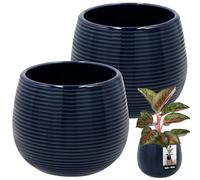 KOTARBAU® 2 x Pot De Fleurs Rond Bleu Cobalt avec ⌀ 12 Cm en Céramique Émaillée|Pot en Céramique Bleu Cobal|Cache-Fleur en Céramique Émaillée Cannelée|Pot De Fleurs avec Finition Brillante