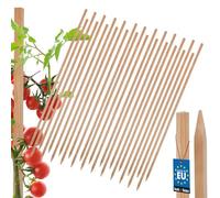 25 Pièces Tuteur Tomate - KOTARBAU® - Bois de Hêtre - 150cm - Naturel - Poteau Bois