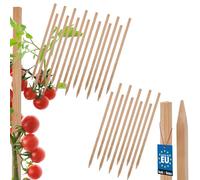 KOTARBAU® 25 Pièces Tuteur Tomate - Bois de Hêtre - 30 cm - Naturel - Tuteur Plante - Piquet de Jardin - Poteau Bois - Piquet Tomate - Support Plante Grimpante