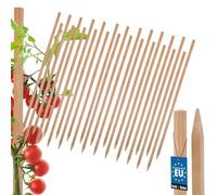 KOTARBAU® 25 Pièces Tuteur Tomate - Bois de Hêtre - 50 cm - Naturel - Tuteur Plante - Piquet de Jardin - Poteau Bois - Piquet Tomate - Support Plante Grimpante