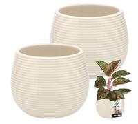 KOTARBAU Lot de 2 grands pots de fleurs, ronds, en céramique, couleur crème, diamètre : 12 cm, hauteur : 14 cm, émaillés