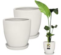 KOTARBAU® Lot de 2 pots à plantes avec soucoupe Blanc ⌀ 31 cm Hauteur : 30 cm Céramique émaillée Pot de fleurs Céramique grand Plant Pot Pot Cactus avec soucoupe Cache-pot avec soucoupe Pots de fleurs