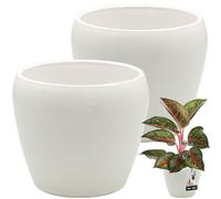 KOTARBAU® Lot de 2 pots de fleurs blancs, intérieur rond, ⌀ 12 cm, H: 12 cm, en céramique émaillée, pots de fleurs intérieurs, pots pour plantes intérieurs, pots pour orchidées intérieurs, grands pots