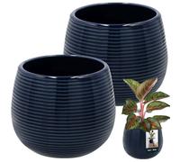 KOTARBAU® 2 x Pot De Fleurs Rond Bleu Cobalt avec ⌀ 12 Cm en Céramique Émaillée|Pot en Céramique Bleu Cobal|Cache-Fleur en Céramique Émaillée Cannelée|Pot De Fleurs avec Finition Brillante