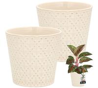 KOTARBAU Lot de 2 pots vintage céramique Couleur crème Diamètre 12 cm Hauteur 13 cm Grand pot trapèze Plantes intérieures