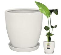 KOTARBAU Pot de fleurs avec soucoupe - Blanc - Diamètre : 31 cm - Hauteur : 30 cm - En céramique émaillée - Grand pot de fleurs pour cactus