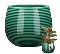 KOTARBAU® Pot De Fleurs Rond Turquoise avec ⌀ 12 Cm en Céramique Émaillée|Pot en Céramique Turquoise|Cache-Fleur en Céramique Émaillée Cannelée|Pot De Fleurs avec Finition Brillante