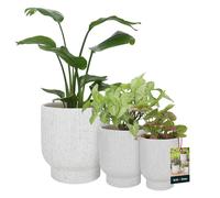 KOTARBAU® Set de 3 pots de fleurs en céramique ⌀ 18 cm / ⌀ 23 cm / 27 cm Blanc Terrazzo Pots de fleurs Pots de fleurs en céramique Pot de fleurs en céramique Cache-pots pour plantes d'intérieur Cache-