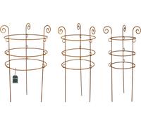 KOTARBAU® Set de 3 supports pour plantes grimpantes en inox Support décoratif pour anneaux de fleurs 3 anneaux