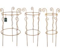KOTARBAU® Set de 3 supports pour plantes grimpantes en inox Support décoratif pour fleurs 2 anneaux Ornement pour fleurs