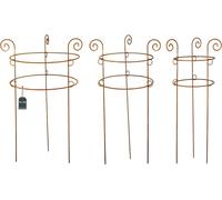 KOTARBAU® Set de 3 supports pour plantes grimpantes en inox Support pour anneaux de fleurs décoratifs 2 anneaux
