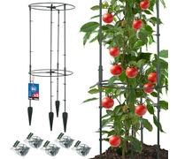KOTARBAU® Tuteur Tomate, Treillis Plante Grimpante Exterieur ⌀ 35 x 80 cm | 5 pièces, Treillis de Jardin, Tuteur Plante, Support Tomates Potager,Tuteur Potager, PVC, Vert, Carré