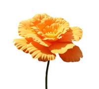 Kouoybt Fleurs géantes pour décoration de fond de mariage, pivoine artificielle avec tige (orange, 50 cm)