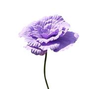 Kouoybt Fleurs géantes pour décoration de fond de mariage, pivoine artificielle avec tige (violet, 50 cm)