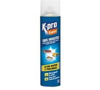 Insecticide aérosol multi-usages - tous insectes - 300 mL