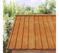KQWQERT Lot de 12 plaques de toit, tôle ondulée, 80 x 44 cm, acier Corten | Matériau résistant aux intempéries, sans peinture, pour abris et écuries, durable