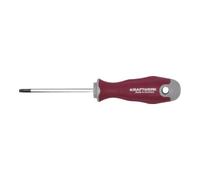 Kraftwerk Tournevis Kraftwerk PRO LINE TX27 100 Quantité:1