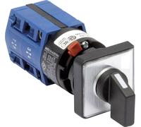 Kraus & Naimer CG4.A212.FS2.F085 Interrupteur sectionneur 10 A 2 x 60 ° gris, noir 1 pc(s)