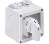 Kraus & Naimer Commutateur à 0,3 pôles, 60°, boîtier AP. IP42 Ith=25A, P=7,5 kW(AC3,400V AC), 2 x 4 mm², 1 pièce.