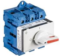 Kraus & Naimer Interrupteur de coupure de charge 3POL.100A (KG100.T303/58.VE2)