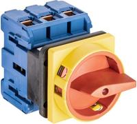 Kraus & Naimer INTERRUPTEUR D'URGENCE 100A 3POLIG (KG100.T203/01.E)