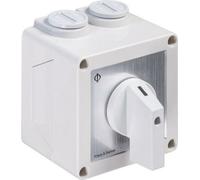 Kraus & Naimer Interrupteur rotatif STAR IP42 (C26.A410.PNL4)