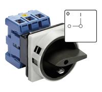 Kraus Naimer KG64B Interrupteur Principal 3 Pôles 63A IP66 - 70010579