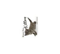 Krazy For Kittens 2026 Calendar