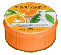 Kringle Candle Citrus Blossom & Honey bougie chauffe-plat 42 g