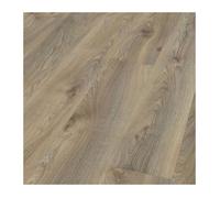 KRONOTEX - Kronotex Parquet Stratifié Mammut Plus - Chêne Macro Beige D3669 - 1845 x 244 x 10 mm