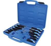 Brilliant Tools – Coffret de tournevis BT034012 – 12 pièces avec embouts à frapper