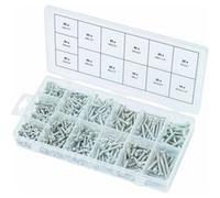 KS Tools Assortiment de vis à tête sphérique 550pcs M4x1/2-M10x1 1/4 G