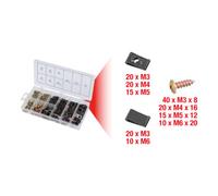 KS Tools Assortiment de vis et d'écrous KS Tools, 170 pcs. Quantité:1