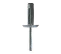 KS TOOLS Clip d'assemblage de rivets aveugles pour GM,pack de 10 420.1306