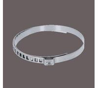 KS TOOLS Collier de serrage 515.3175 acier inoxydable 1200g