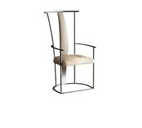 ksjdieunf Fauteuils de Bureau pour la Maison Chaise de maître en Acier Inoxydable, Chaise préparation du thé Simple, à Dossier avec accoudoirs Salon et Loisirs(B)