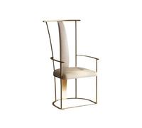 ksjdieunf Fauteuils de Bureau pour la Maison Chaise de maître en Acier Inoxydable, Chaise préparation du thé Simple, à Dossier avec accoudoirs Salon et Loisirs(A)