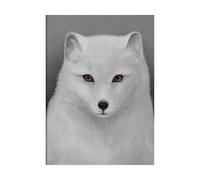 Kunskapstavlan® Affiche Fjällräv 30x40 cm