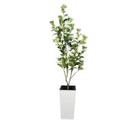Kunstboom, variété Camélia élancé - Hauteur : 180 cm - Entretien minimal - Pour intérieur