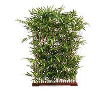 kunstpflanzen-discount.com Haie de bambou artificielle 180 x 120 cm avec 3200 feuilles de protection UV/protection solaire - Brise-vue en bambou artificiel pour l'intérieur et l'extérieur