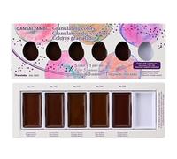 Kuretake GANSAI TAMBI (Granulating colors) Set de aquarelle peinture, Lot de 6 couleurs, pour les artistes professionnels, Non toxique, fabriqué au Japon