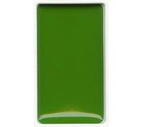 Kuretake : Gansai Tambi japonais : Aquarelle : Vert moyen à grand
