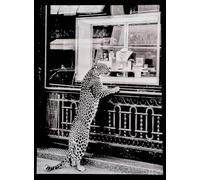 KUSTOM ART Poster mural décoratif série animaux léopard vitrine bijouterie impression artistique sur papier couché 40 x 30 cm sans cadre