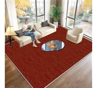 KwuSeug Tapis Chambre Adulte Grand Tapis Salon Antidérapant Lavable en Machine 100 x 140 cm Tapis de Décoration pour Descente de Lit Chambre Adulte Entree Interieur Deco Gamer Bureau Moquette Rouge