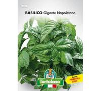 L’Ortolano Semences horticoles de qualité dans paquet thermoscellé (160 variétés)