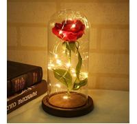La Belle et la Bête Enchanted Rose Élégant Dôme en Verre avec Lumières LED - Base marron
